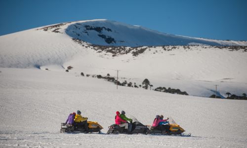 ED 2014 22 Pehuenia NqnTur 2179